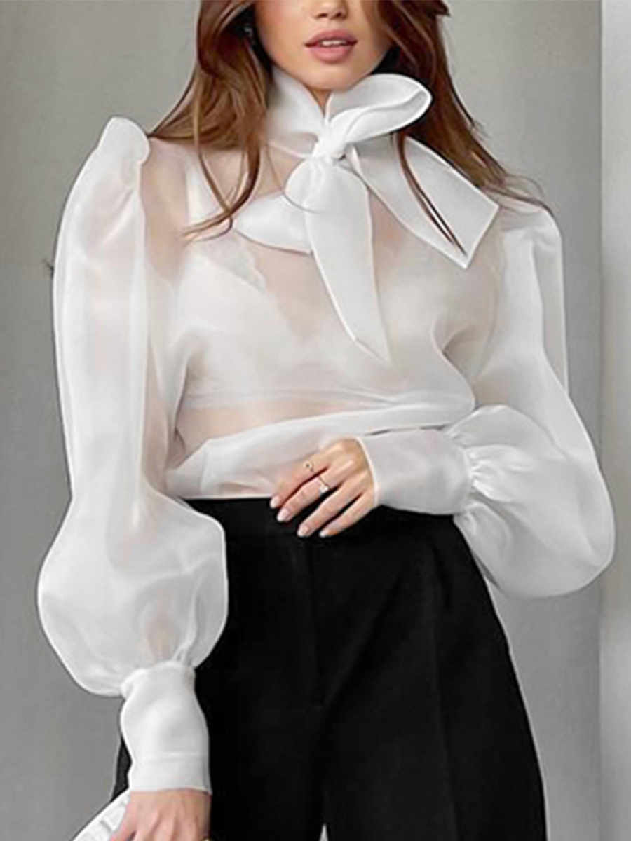 New Elegant Mesh Transparent B - Mesh Top Layering 评论和价格